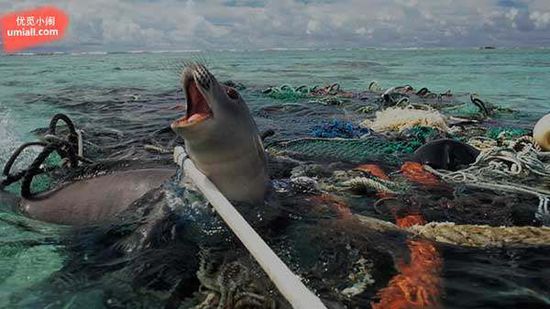 Save the Earth's Ocean: Dutch teenagers have developed a "vacuum cleaner" that can clean the ocean