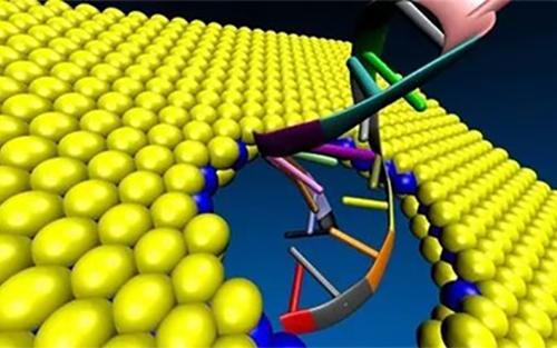 Scientists use third-generation gene sequencing to successfully diagnose rare diseases for the first time