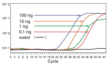  ç£ç æ³•DNAç”²åŸºåŒ–æ–¹æ¡ˆâ€”é«˜æ•ˆç‰¹å¼‚çš„DNAäºšç¡«é…¸ç›è½¬åŒ–ä¸Žçº¯åŒ–