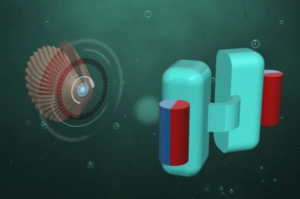 Miniature scallop robot swimming in the human body