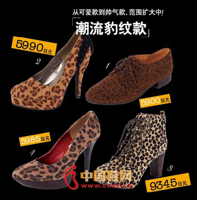 Trend leopard money From cute models to handsome models, expanding range