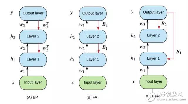 Deep Neural Network (DNN) = Human cerebral cortex structure?