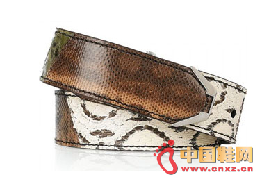 ChloÃ© snake stitching belt 6240 yuan