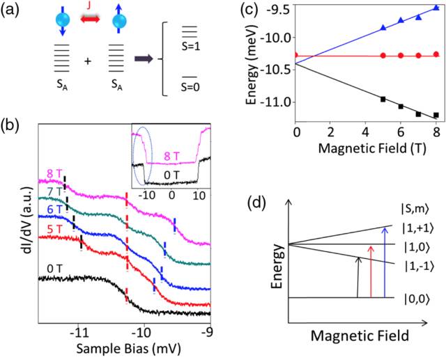 The physical mechanism of graphene-doped carrier-induced RKKY to achieve spin-exchange between atoms and its modulation