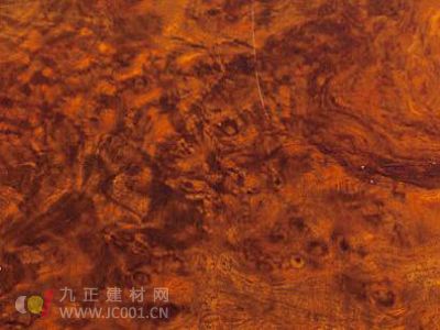 Picture: Big fruit rosewood eucalyptus new material