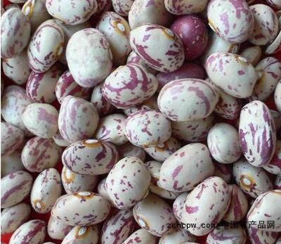 Round milk cowpea