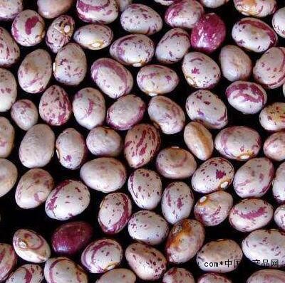 Round milk cowpea