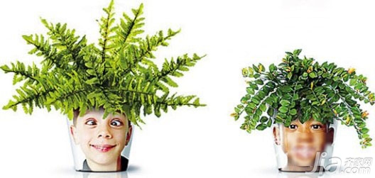 Funny Home Decoration 5 Fun Creative Flower Pots