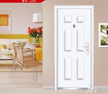 Security Door Image