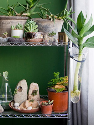 The balcony turns into a garden.