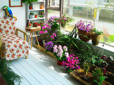 The balcony turns into a garden.