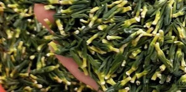 White lotus seed