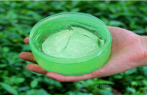 Correct use of aloe vera gel