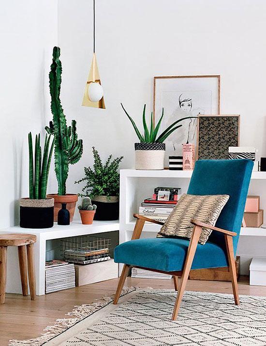 A touch of green in the home, the indoor plants make the home more fresh!