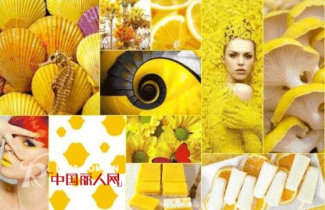 å¸ƒå¥³éƒŽçš„è¡£æ©±ä¸¨æŠ“ä½å¤æ—¥çš„å°¾å·´ï¼Œå†ç¾Žä¸€æŠŠ
