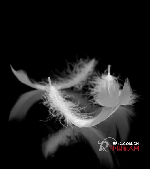æ’­-broadcast