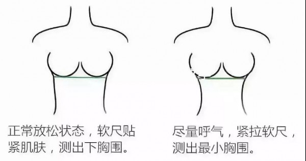 å†…è¡£çŸ¥è¯†|å¥³æ€§èƒ¸å›´å°ºç  æ­£ç¡®æµ‹é‡æ–¹æ³•