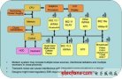 When RF meets analog and digital signals-EMI test