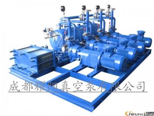 Common faults and analysis of water ring vacuum pump