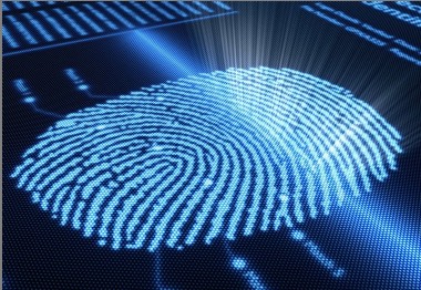 Application of Fingerprint Recognition Technology in Electronic Commerce