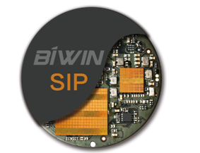 When the small and beautiful wearable meets the "SiP level solution provider"