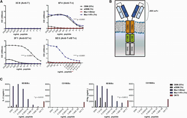 Carl June publishes a big achievement: CAR-T treats solid tumors or "has a play"