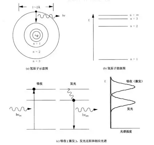 è§å…‰ç²‰1.webp.jpg