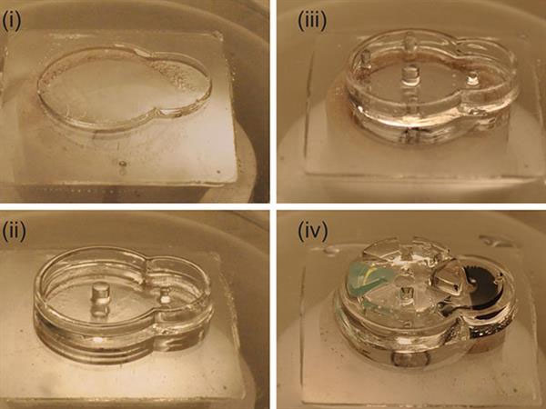 3Dæ‰“å°æ¤å…¥ç‰©biobotså¯ä»¥åœ¨ä½“å†…åˆ†é…è¯ç‰©å‰‚é‡