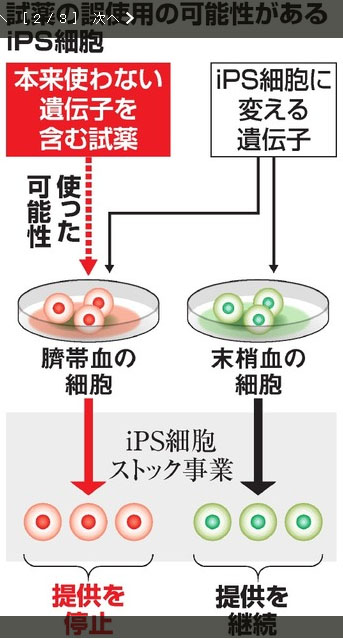 æ—¥æœ¬è¯ºå¥–å¾—ä¸»å±±ä¸­ä¼¸å¼¥é“æ­‰ï¼šæš‚åœæä¾›iPSç»†èƒžä¸´åºŠåŒ»ç–—ä½¿ç”¨