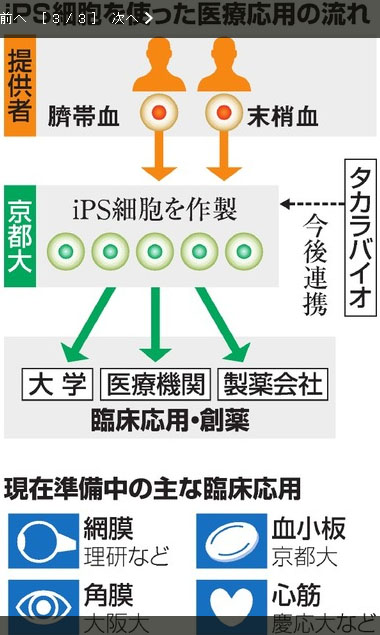 æ—¥æœ¬è¯ºå¥–å¾—ä¸»å±±ä¸­ä¼¸å¼¥é“æ­‰ï¼šæš‚åœæä¾›iPSç»†èƒžä¸´åºŠåŒ»ç–—ä½¿ç”¨