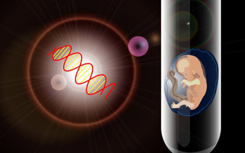 Scienceï¼šå‰‘æ¡¥å¤§å­¦å‘çŽ°èƒšèƒŽä¹Ÿèƒ½äººå·¥é€ 