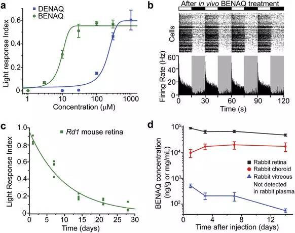 Natureï¼šæœ€æ–°åŒ–åˆç‰©å¯å¸®åŠ©å¤±æ˜Žè€é¼ æ¢å¤è§†è§‰å“åº”