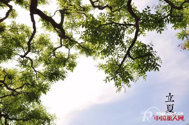 ï¼»æœ¨æ£‰é“Â·ç«‹å¤ï¼½è‹¦å¿ƒé…é…¿ï¼Œé…£ç•…æ·‹æ¼“