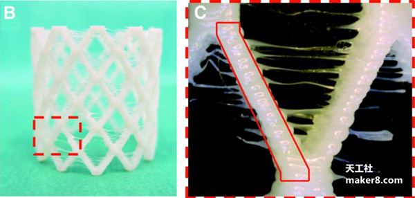 ç§‘å­¦å®¶å±•ç¤ºå¯ç”Ÿç‰©é™è§£çš„è‡ªæ‰©å±•3Dæ‰“å°æ”¯æž¶ï¼Œç”¨äºŽå°å„¿å¿ƒè„æ‰‹æœ¯