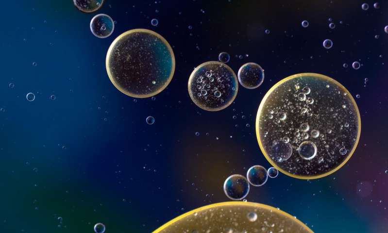 ç§‘å­¦å®¶å¼€å‘å‡ºè§£å†³å¤šç§ç™Œç—‡â€œè„‘è½¬ç§»â€çš„æ–¹æ³•