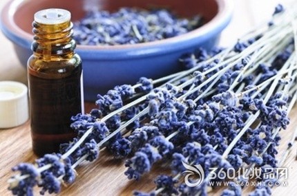 祛疤 Essential oil Lavender essential oil to 疤 principle The correct use of essential oil Lavender essential oil smear