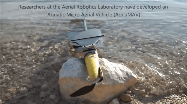 London researchers invented the AquaMAV winged drone in addition to flying and diving