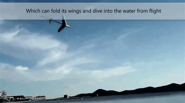 London researchers invented the AquaMAV winged drone in addition to flying and diving