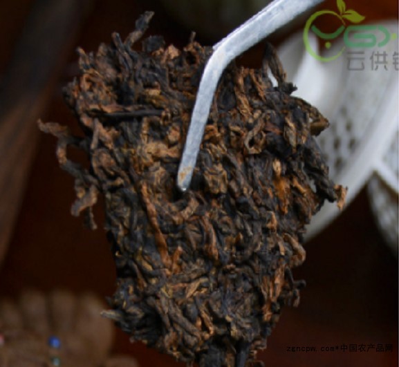 Are you drinking Pu'er spring tea?