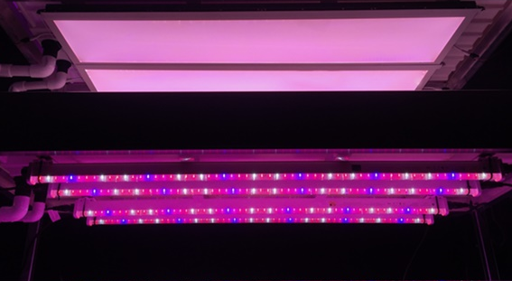 GrowBlade plant lights vs. tubes with multiple single-frequency LED sources.