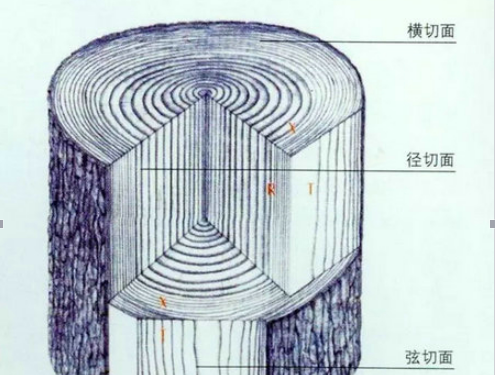 å„¿ç«¥å®¶å…·åŽ‚å®¶æŽ¨èï¼šå®¶å…·æœ¨æå¸¸è¯†