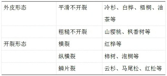 å„¿ç«¥å®¶å…·åŽ‚å®¶æŽ¨èï¼šå®¶å…·æœ¨æå¸¸è¯†