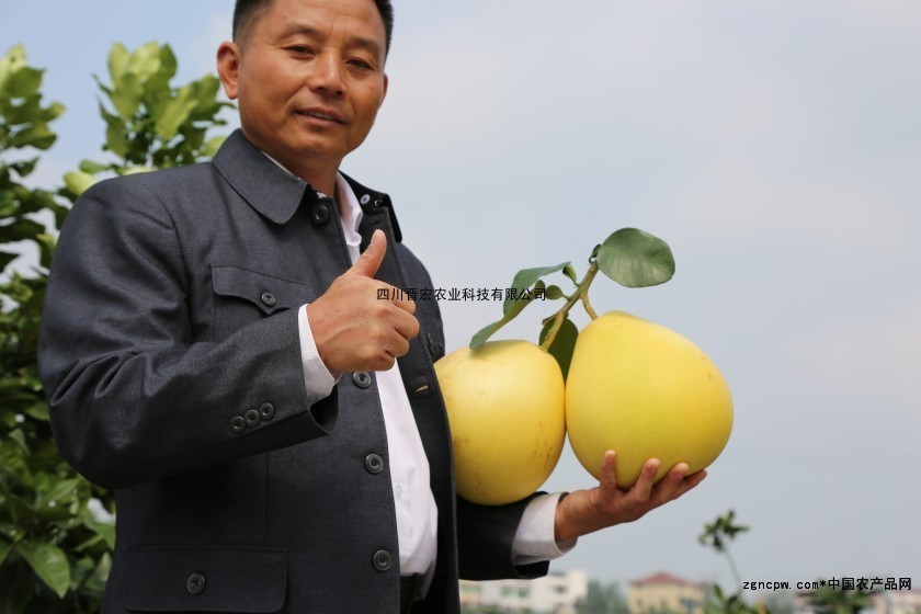 Red core king pomelo