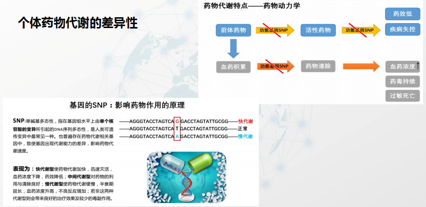 æŽå…‰ç£Šï¼šå¿ƒè¡€ç®¡ç–¾ç—…ç²¾å‡†åŒ»ç–—é¢†åŸŸçš„ç ”ç©¶