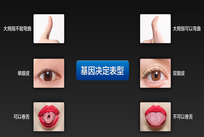 åŽå¤§åŸºå› å®˜é‘«ï¼šåŸºå› +äº’è”ç½‘ï¼Œç²¾å‡†å¥åº·ä»Žæˆ‘åšèµ·