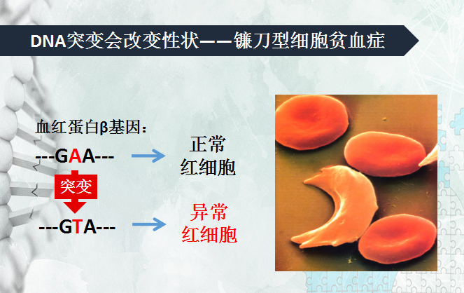 åŽå¤§åŸºå› å®˜é‘«ï¼šåŸºå› +äº’è”ç½‘ï¼Œç²¾å‡†å¥åº·ä»Žæˆ‘åšèµ·