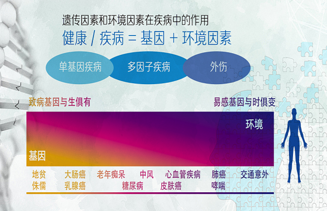 åŽå¤§åŸºå› å®˜é‘«ï¼šåŸºå› +äº’è”ç½‘ï¼Œç²¾å‡†å¥åº·ä»Žæˆ‘åšèµ·