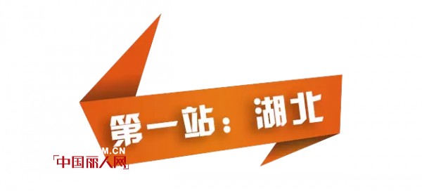 å‰èŠå¥´ç‹¬å®¶å† å å†…è¡£é¢‘é“å¹´åº¦é›¶å”®è°ƒç ”æ ç›®ã€Šä¸­å›½å†…è¡£è¿žé”ã€‹2æœˆå¼€æ’­