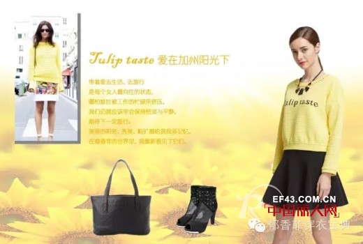 è¿™ä¸ªç§‹å¤© æŠŠé˜³å…‰å¸¦å›žå®¶ â€”â€”Tulip tasteéƒé¦™è²é˜³å…‰é»„ç³»åˆ—