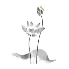 å°è±¡Â·ä¸»é¢˜åäºŒæœˆè¾‰ç…Œå†ç»­  å››åäº”åº—æŽ¥è¸µè€Œè‡³
